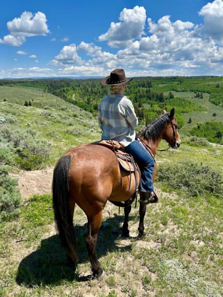 Dea Larsen rider på hest gennem det åbne landskab med udsigt over grønne bakker og skovområder under en blå sommerhimmel.