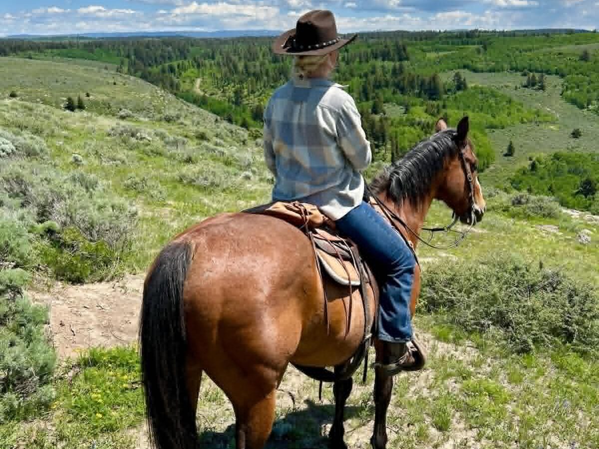 Dea Larsen rider på hest gennem det åbne landskab med udsigt over grønne bakker og skovområder under en blå sommerhimmel.